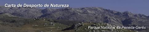 pnpg forum