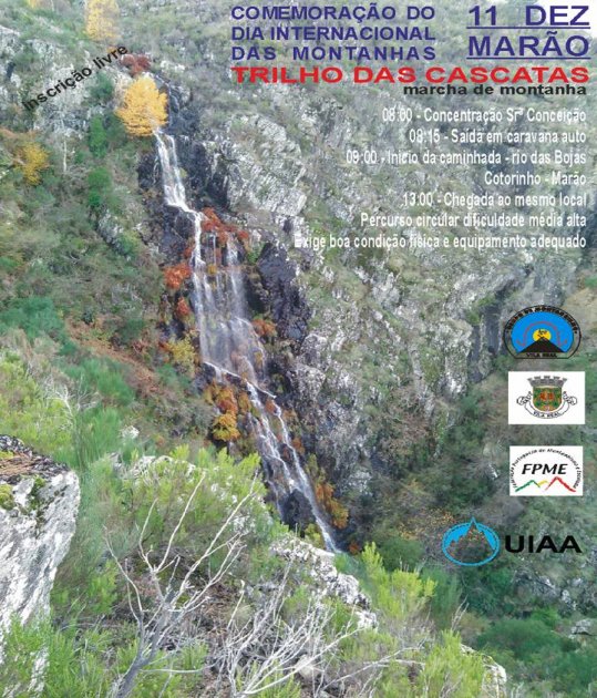 DM Vila Real