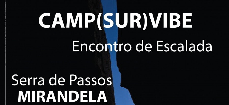 Camp survive 2018
